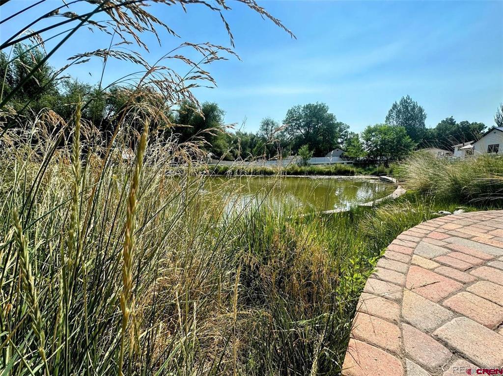 1207 Lincoln Street Alamosa CO 81101