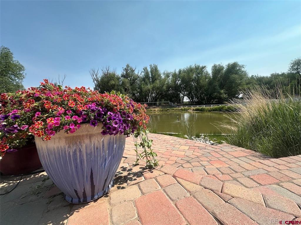 1207 Lincoln Street Alamosa CO 81101