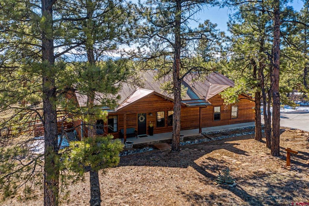213 Big Canyon Point Ridgway CO 81432
