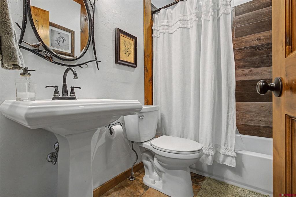 213 Big Canyon Point Ridgway CO 81432