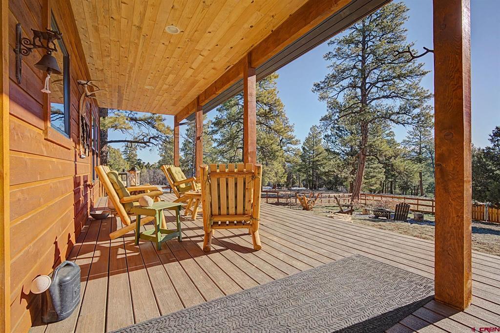 213 Big Canyon Point Ridgway CO 81432