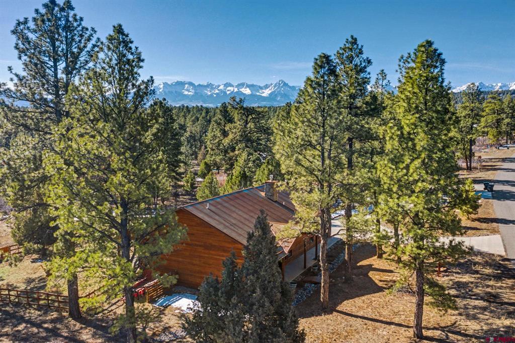 213 Big Canyon Point Ridgway CO 81432