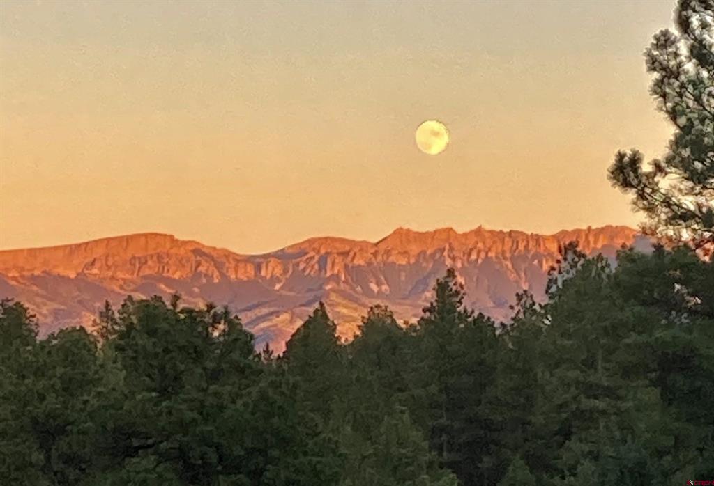 213 Big Canyon Point Ridgway CO 81432