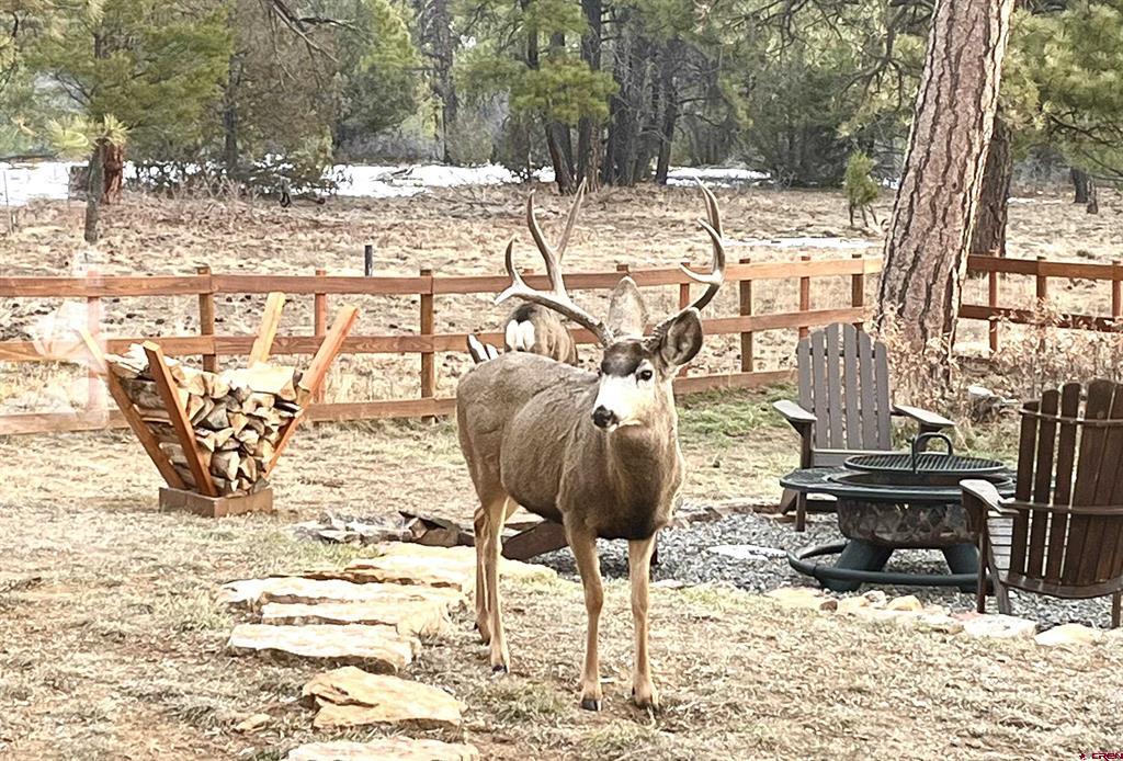 213 Big Canyon Point Ridgway CO 81432