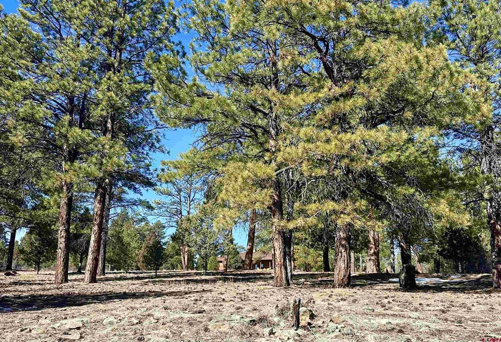 213 Big Canyon Point Ridgway CO 81432