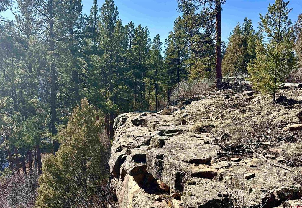 213 Big Canyon Point Ridgway CO 81432
