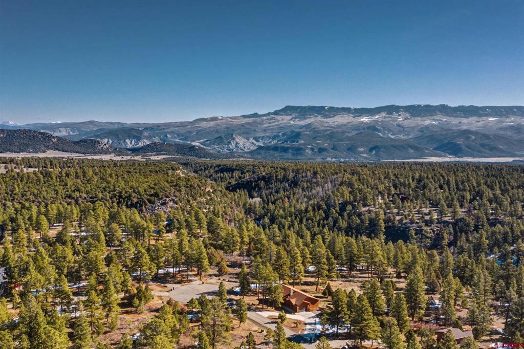 213 Big Canyon Point Ridgway CO 81432