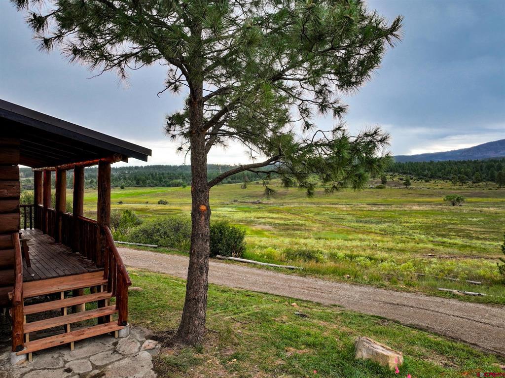 44401 160 Highway Mancos CO 81328