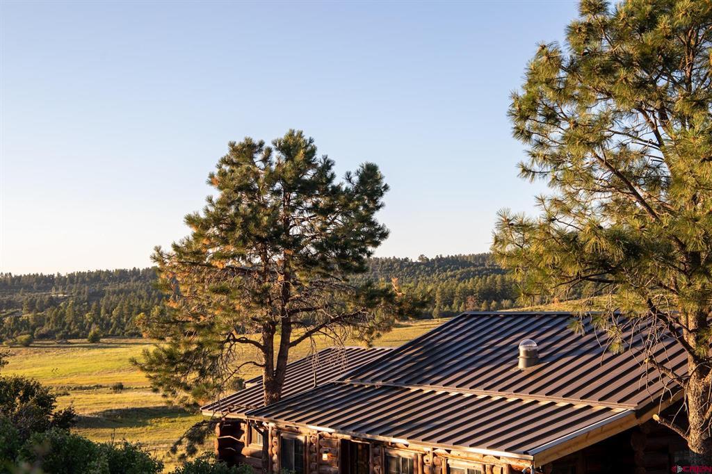 44401 160 Highway Mancos CO 81328