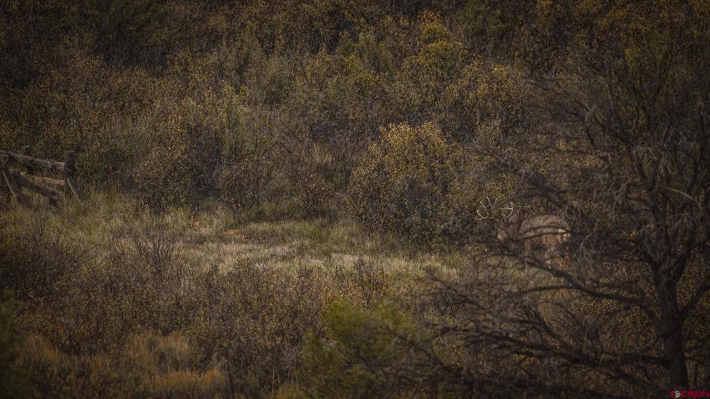44401 160 Highway Mancos CO 81328