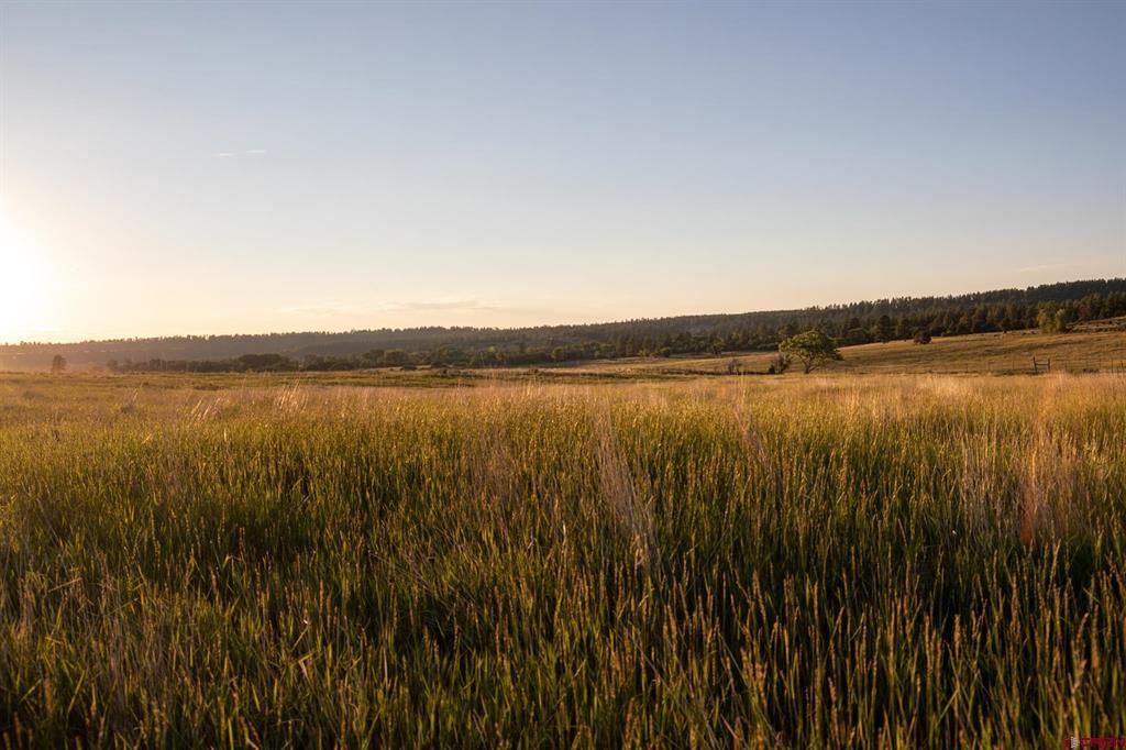 44401 160 Highway Mancos CO 81328
