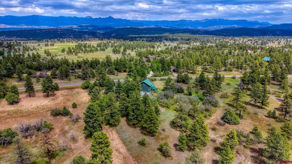 705 Buttress Avenue Pagosa Springs CO 81147
