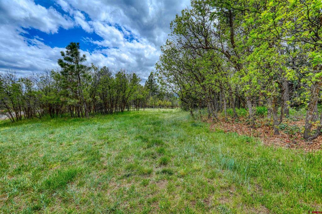 705 Buttress Avenue Pagosa Springs CO 81147