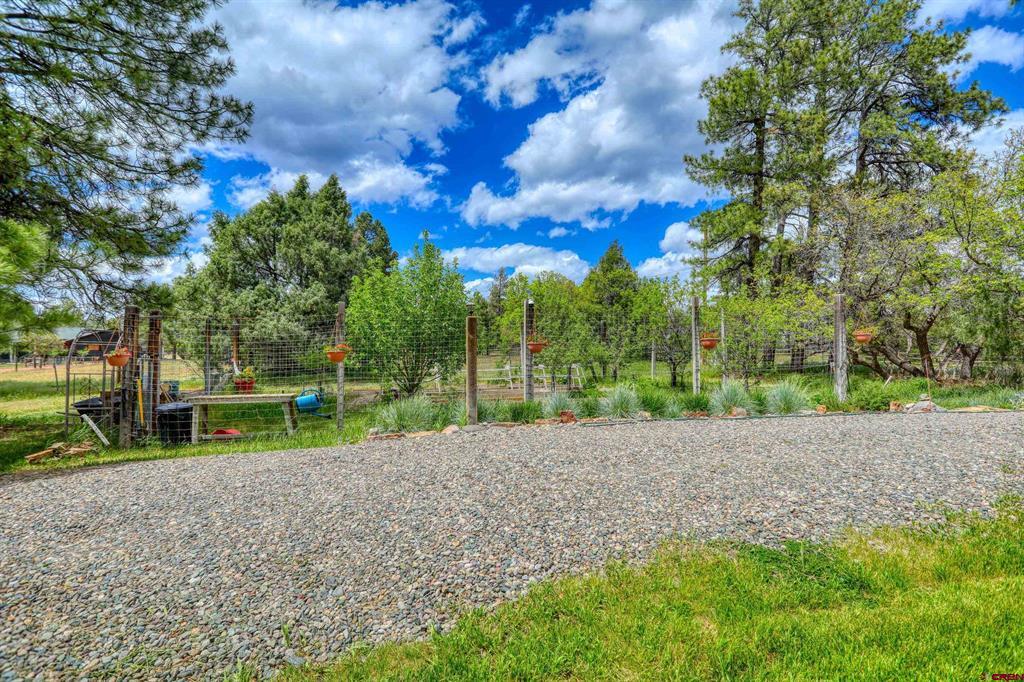 705 Buttress Avenue Pagosa Springs CO 81147