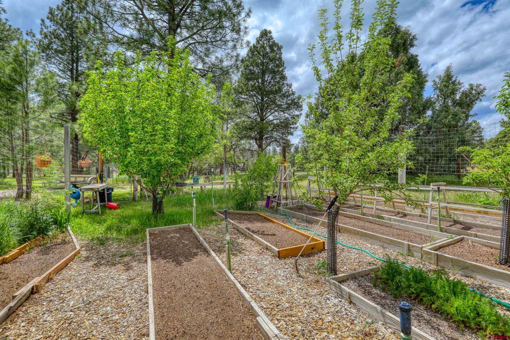 705 Buttress Avenue Pagosa Springs CO 81147