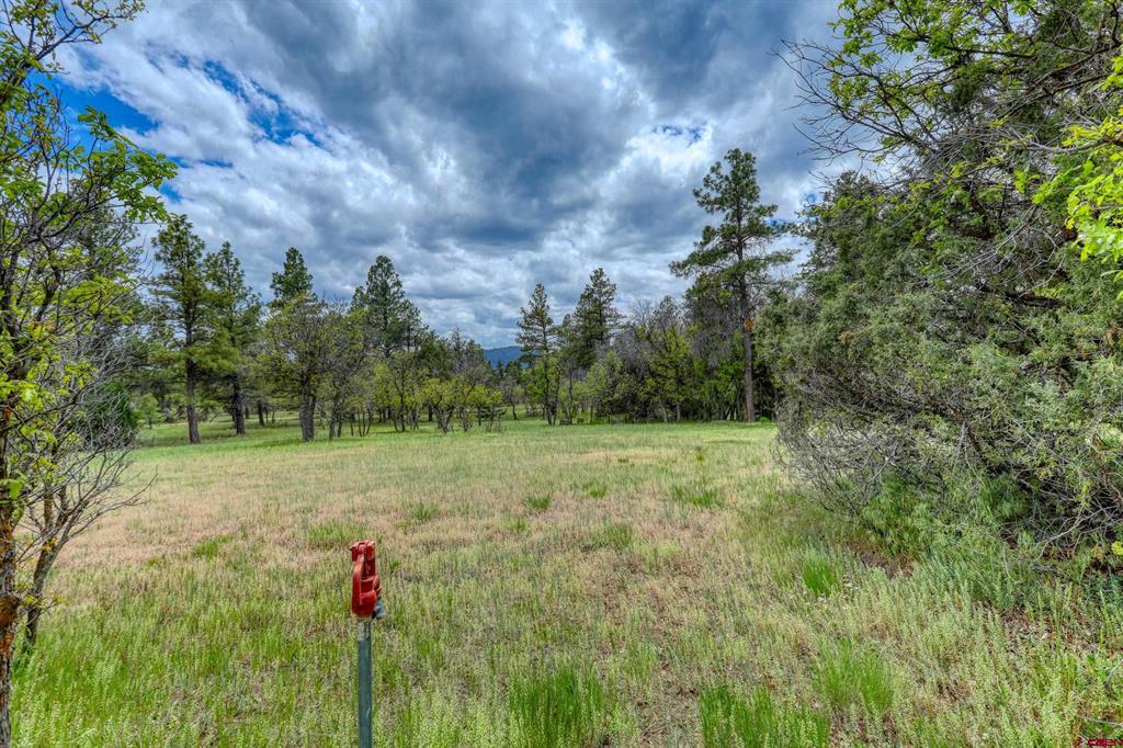 705 Buttress Avenue Pagosa Springs CO 81147