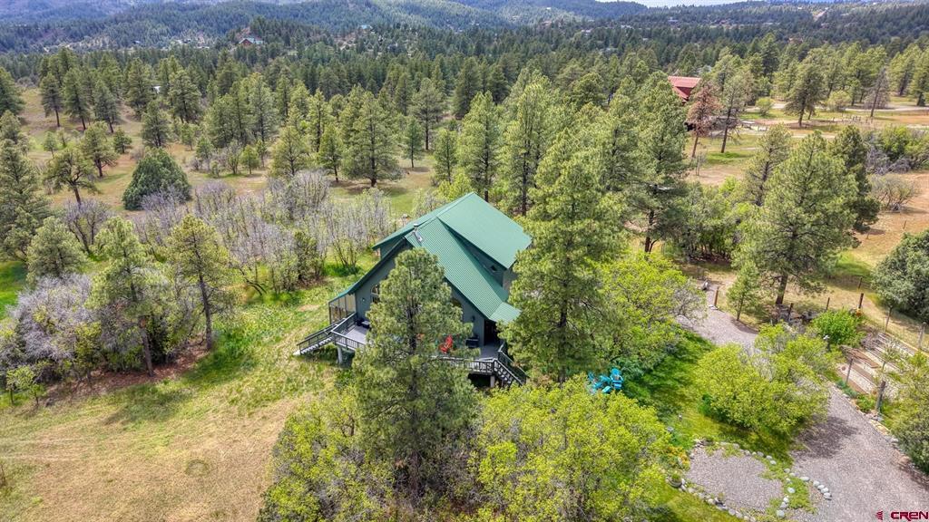 705 Buttress Avenue Pagosa Springs CO 81147