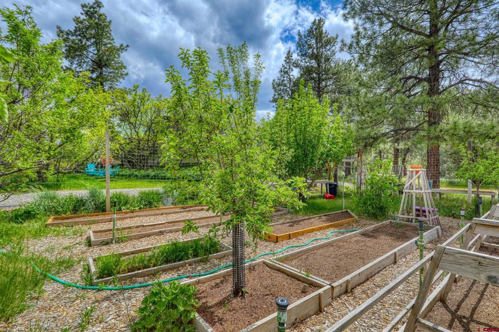 705 Buttress Avenue Pagosa Springs CO 81147