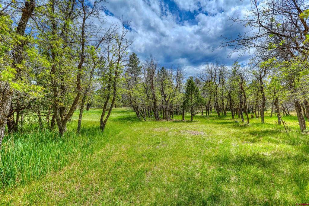 705 Buttress Avenue Pagosa Springs CO 81147