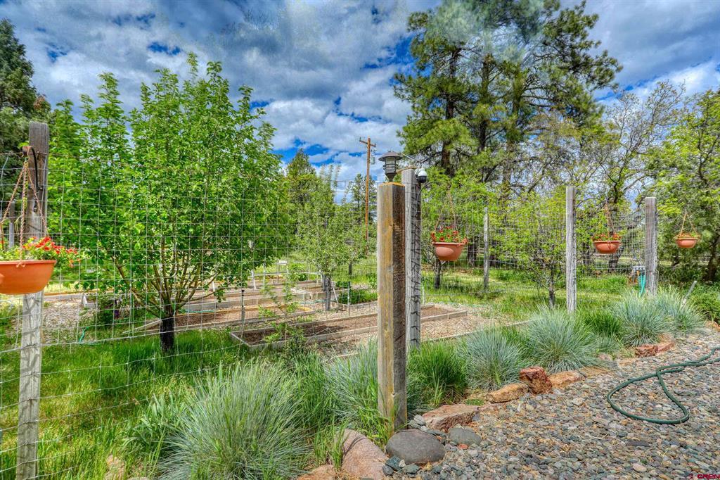 705 Buttress Avenue Pagosa Springs CO 81147