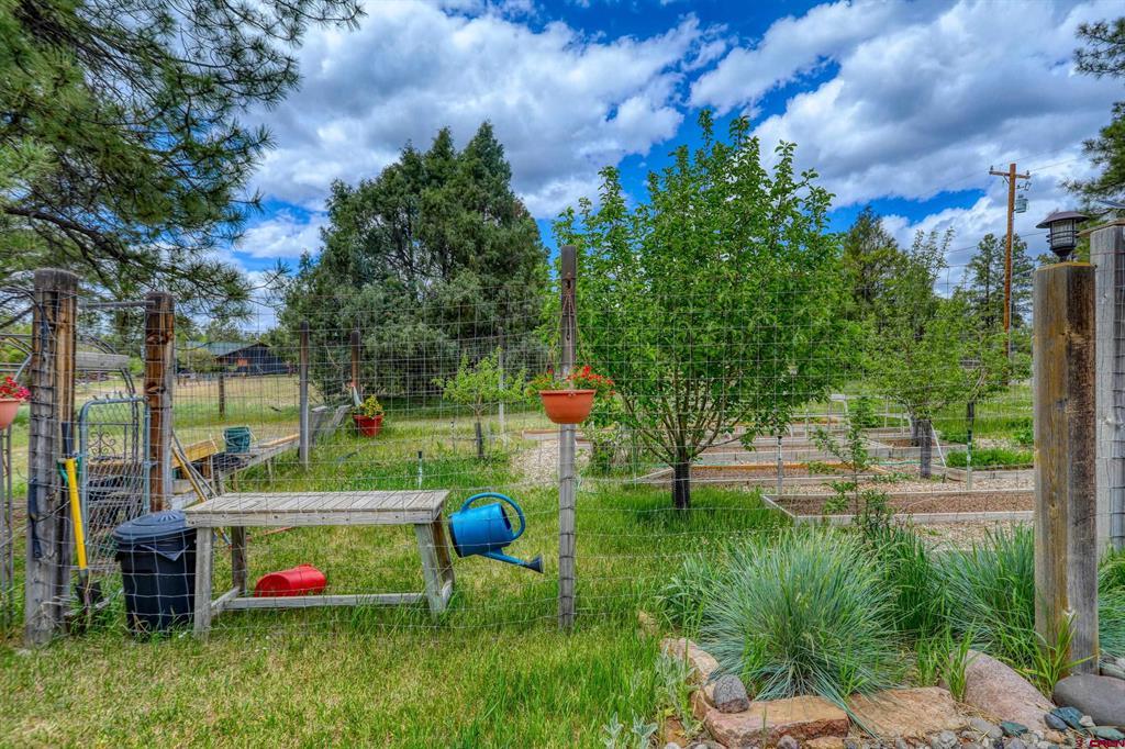 705 Buttress Avenue Pagosa Springs CO 81147