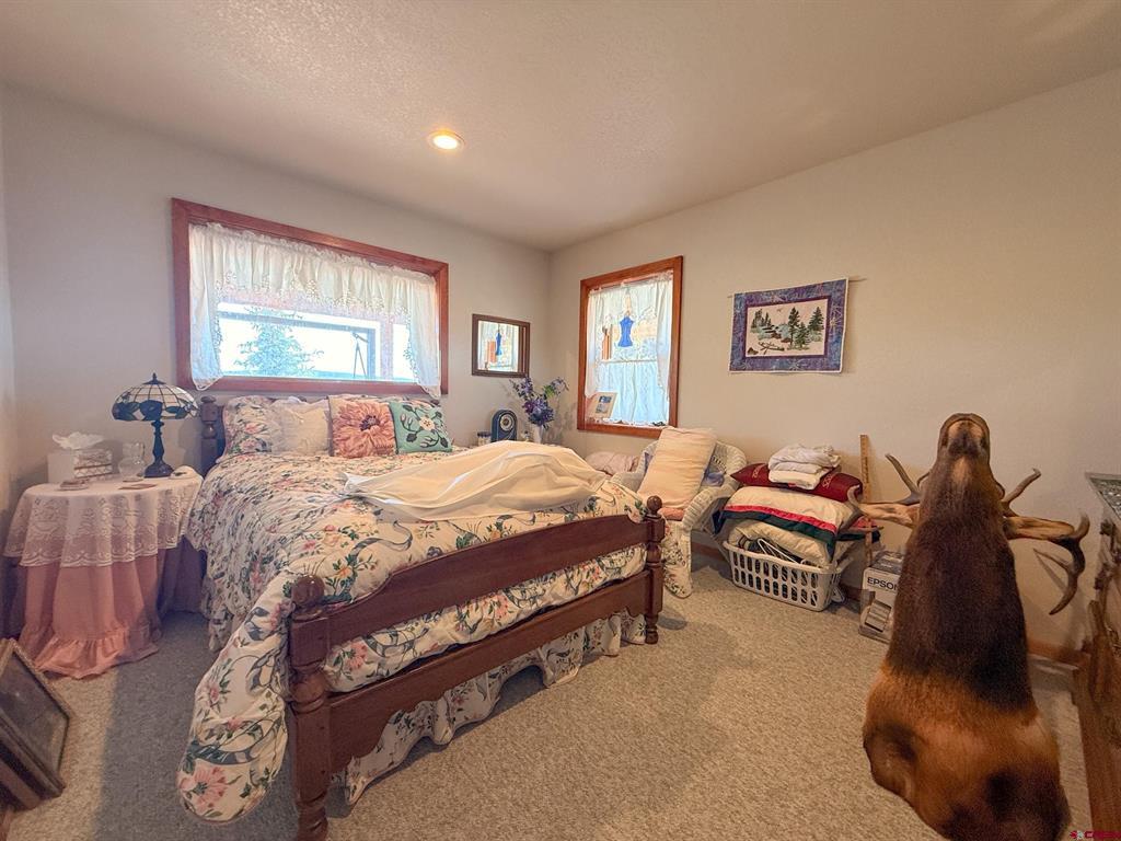 10528 Bostwick Park Montrose CO 81401