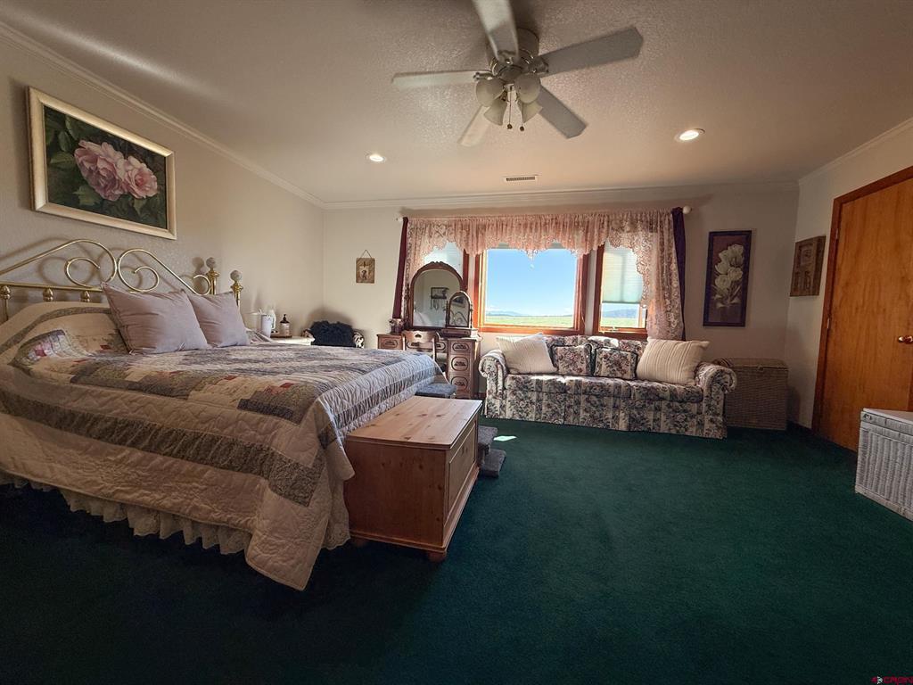 10528 Bostwick Park Montrose CO 81401