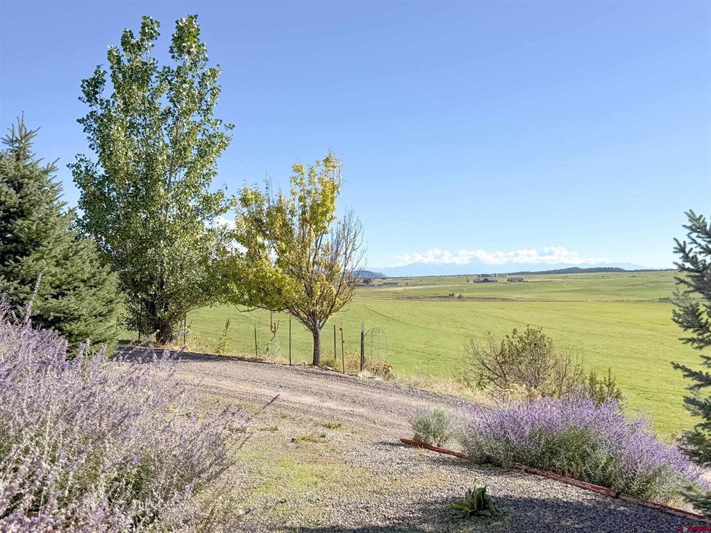 10528 Bostwick Park Montrose CO 81401