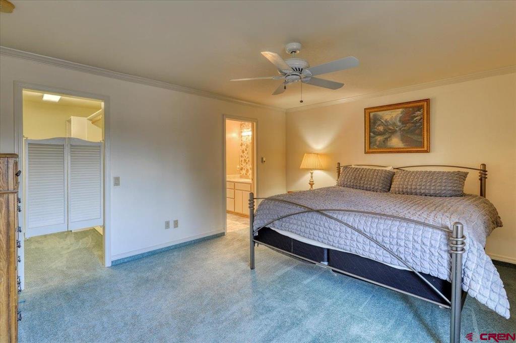 206 Pines Club Place Pagosa Springs CO 81147