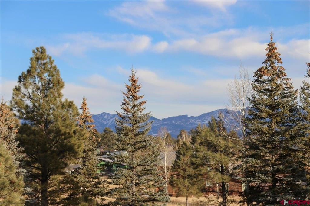 206 Pines Club Place Pagosa Springs CO 81147