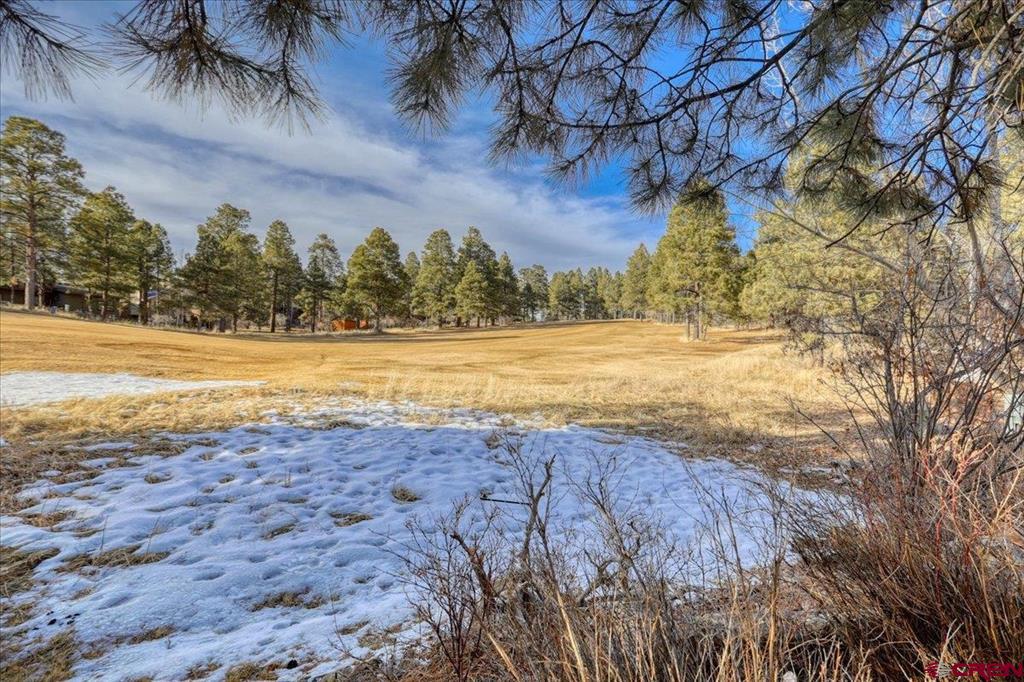 206 Pines Club Place Pagosa Springs CO 81147