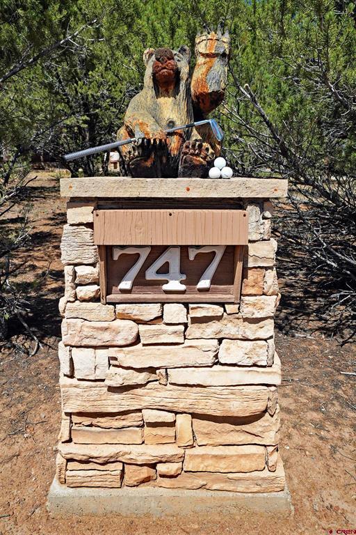 747 Marmot Drive Ridgway CO 81432