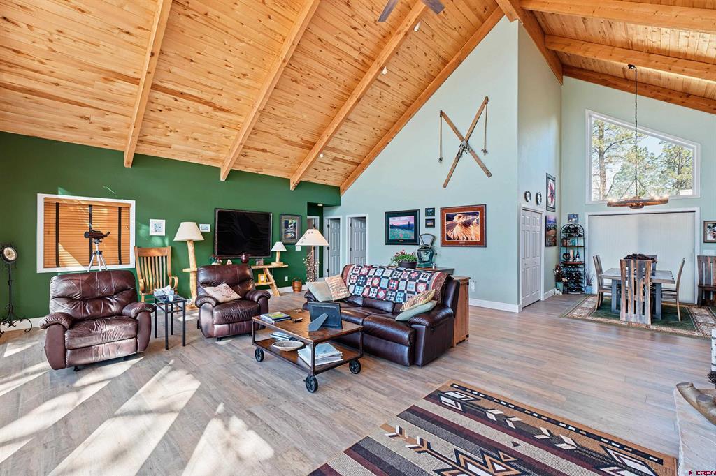 747 Marmot Drive Ridgway CO 81432