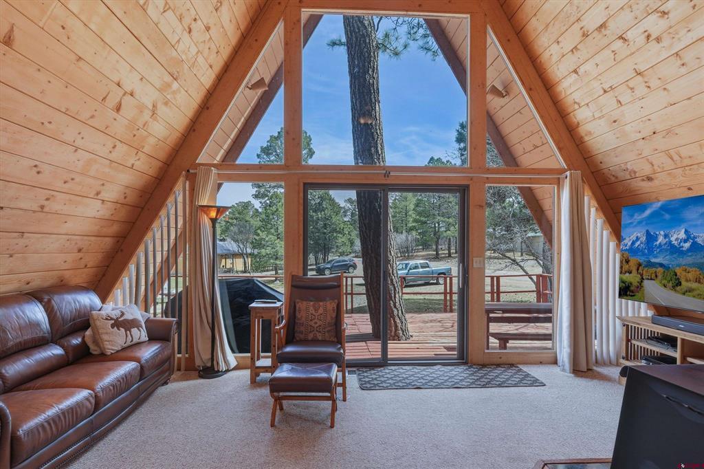 384 Pines Drive Pagosa Springs CO 81147