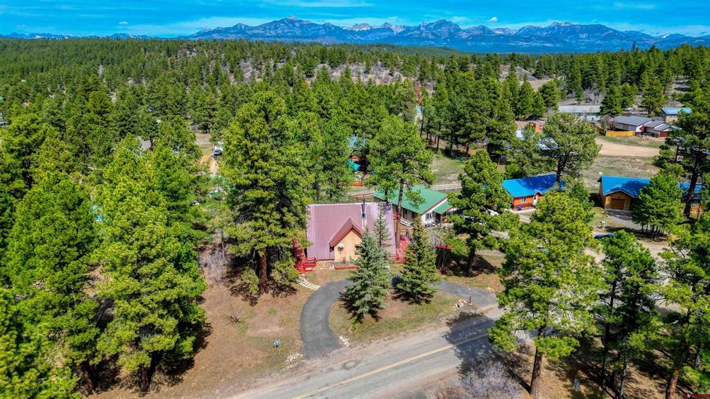 384 Pines Drive Pagosa Springs CO 81147