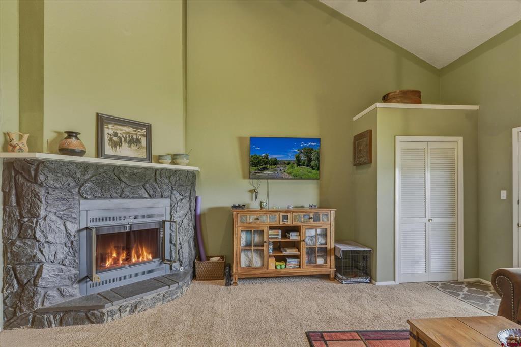 301 Talisman Drive Pagosa Springs CO 81147