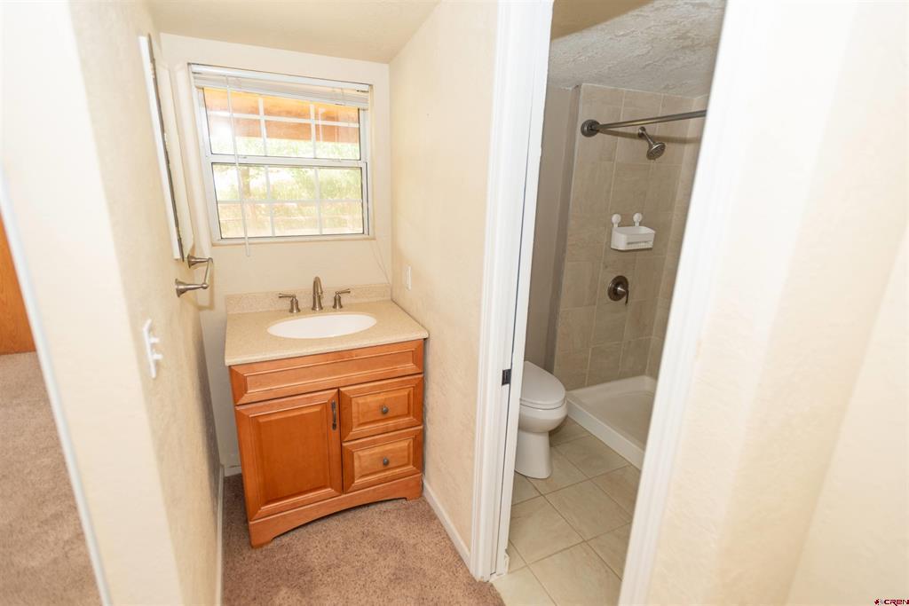 307 N 3rd Street Pagosa Springs CO 81147
