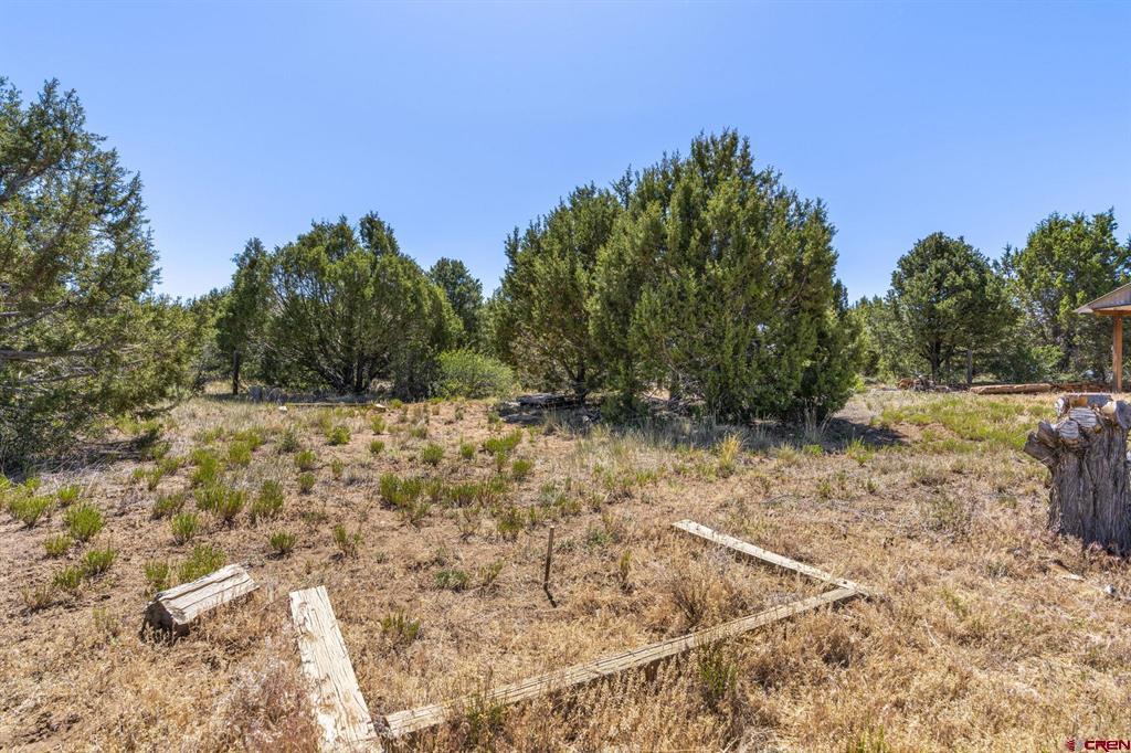 595 Sand Ridge Court Hesperus CO 81326