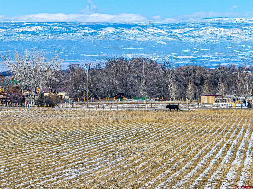 12689 6100 Road Montrose CO 81403