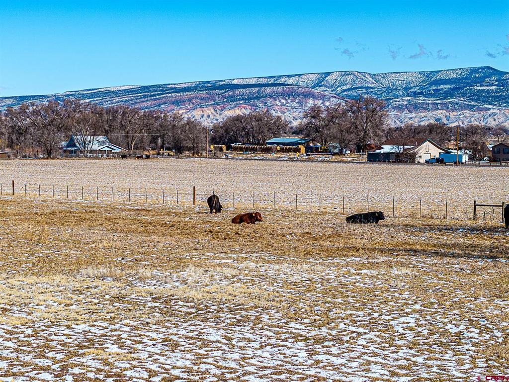 12689 6100 Road Montrose CO 81403