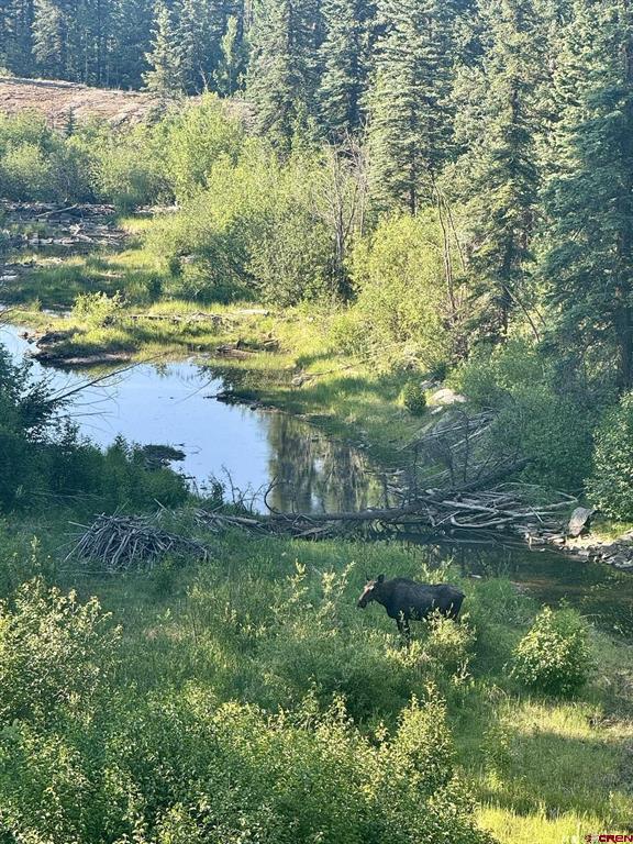 312 Columbine Road Durango CO 81301