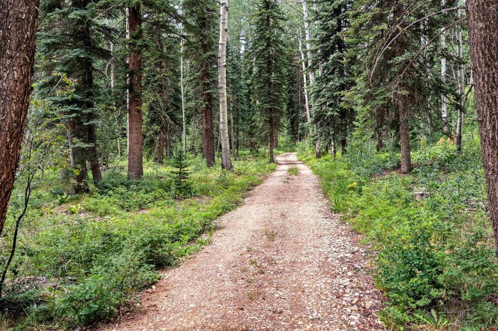 312 Columbine Road Durango CO 81301