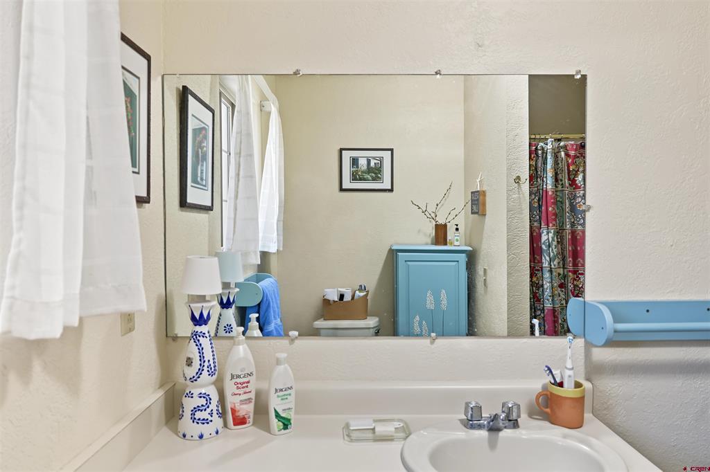 61 Easy Drive Arboles CO 81121