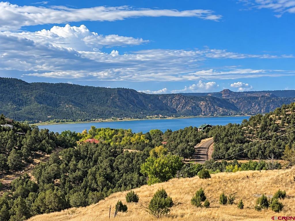 61 Easy Drive Arboles CO 81121