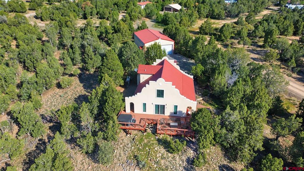 61 Easy Drive Arboles CO 81121
