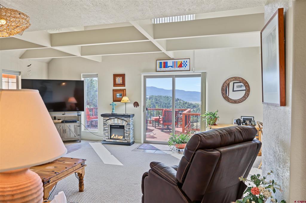 61 Easy Drive Arboles CO 81121
