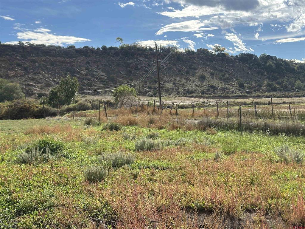 58001 Maple Grove Road Montrose CO 81403