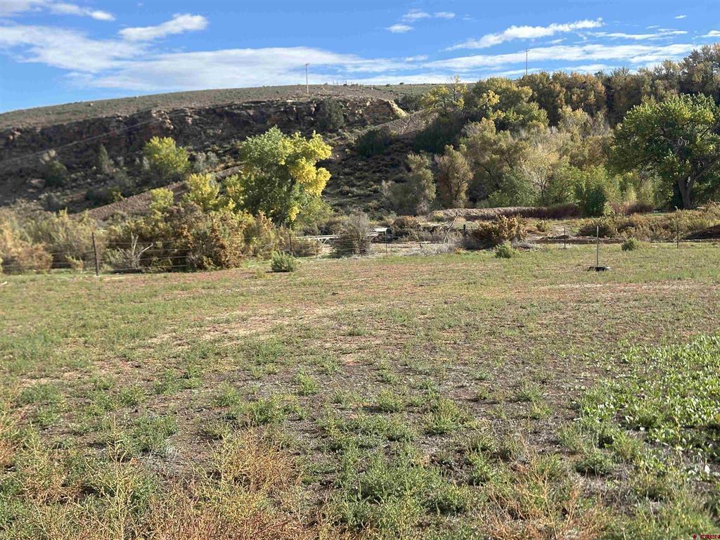 58001 Maple Grove Road Montrose CO 81403