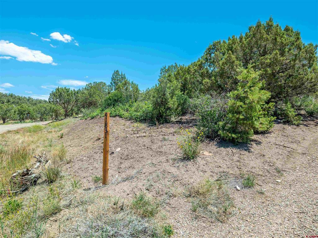 41831 Road J.75 Mancos CO 81328