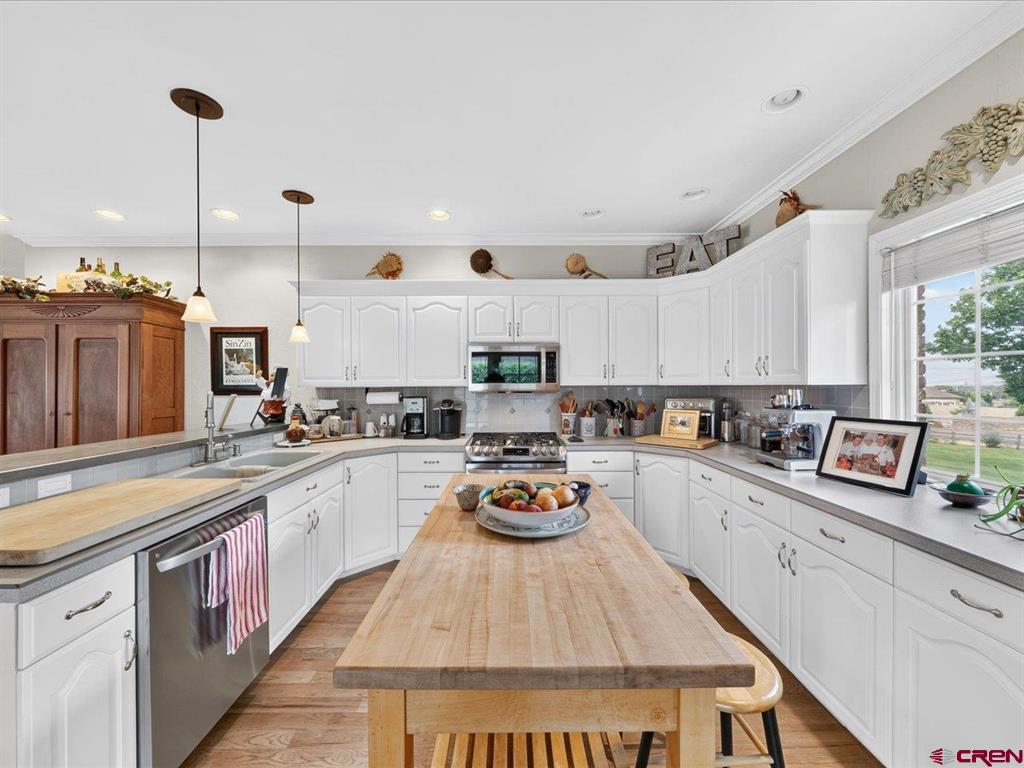 16890 Wildwood Drive Montrose CO 81403